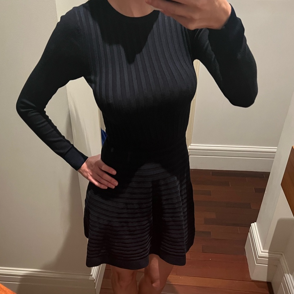 Navy blue long sleeve Club Monaco dress